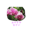 私の育てたお花（個別スタンプ：5）