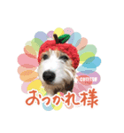 コテツとシオリ（個別スタンプ：1）