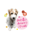 コテツとシオリ（個別スタンプ：2）