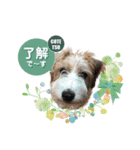 コテツとシオリ（個別スタンプ：4）