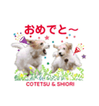 コテツとシオリ（個別スタンプ：6）