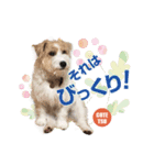 コテツとシオリ（個別スタンプ：7）