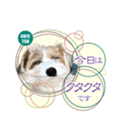 コテツとシオリ（個別スタンプ：8）