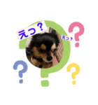 かぞくですたんぷ（個別スタンプ：7）