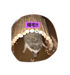 ヨモギの1日（個別スタンプ：7）