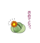 ぷっくりがかわいい多肉植物スタンプ（個別スタンプ：4）