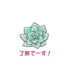 ぷっくりがかわいい多肉植物スタンプ（個別スタンプ：5）
