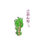 ぷっくりがかわいい多肉植物スタンプ（個別スタンプ：7）