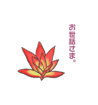 ぷっくりがかわいい多肉植物スタンプ（個別スタンプ：8）