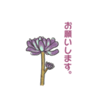 ぷっくりがかわいい多肉植物スタンプ（個別スタンプ：9）