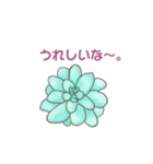 ぷっくりがかわいい多肉植物スタンプ（個別スタンプ：11）