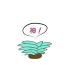 ぷっくりがかわいい多肉植物スタンプ（個別スタンプ：12）