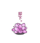 ぷっくりがかわいい多肉植物スタンプ（個別スタンプ：13）