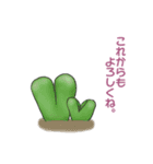 ぷっくりがかわいい多肉植物スタンプ（個別スタンプ：14）