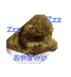 トイプードルのレオくんの日常（個別スタンプ：7）