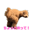 加古川のマル（個別スタンプ：3）