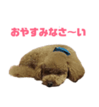 加古川のマル（個別スタンプ：5）