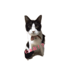 あたしゃたち（個別スタンプ：1）