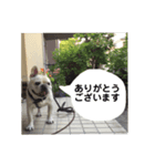 フレンチブルドッグのパンです（個別スタンプ：2）