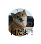 ほのぼの元気くん②（個別スタンプ：1）