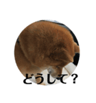 ほのぼの元気くん②（個別スタンプ：4）