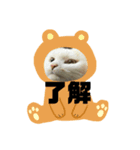 うちのおにゃん達（個別スタンプ：3）