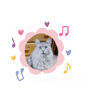うちのニャゴスタンプ（B'ver.）（個別スタンプ：6）