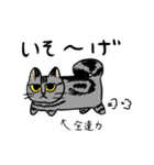 MoneKuroAnnyoMoru2（個別スタンプ：11）