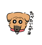 MoneKuroAnnyoMoru2（個別スタンプ：15）