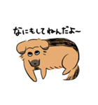 MoneKuroAnnyoMoru2（個別スタンプ：16）