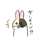 MoneKuroAnnyoMoru2（個別スタンプ：24）