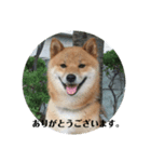 ほのぼの元気くん③（個別スタンプ：3）