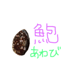 ホヤ、ナマコ、アワビ 海産物スタンプ（個別スタンプ：5）