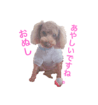 きぃちゃんといっしょ。（個別スタンプ：3）