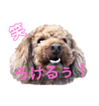 きぃちゃんといっしょ。（個別スタンプ：4）