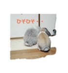 ロップの日常（個別スタンプ：7）