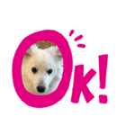 ゆきちゃん①（個別スタンプ：5）