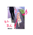 メルちゃんのスタンプ（個別スタンプ：5）