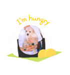 メルちゃんのスタンプ（個別スタンプ：7）