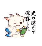 白やぎさんと黒やぎくん（個別スタンプ：37）