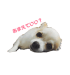 鈴奈のすたんぷですー！！（個別スタンプ：1）
