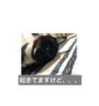 ジジさん（個別スタンプ：1）