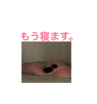 ジジさん（個別スタンプ：2）