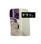 ジジさん（個別スタンプ：3）