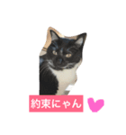 ジジさん（個別スタンプ：4）