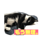 ジジさん（個別スタンプ：5）
