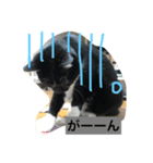 ジジさん（個別スタンプ：6）