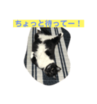 ジジさん（個別スタンプ：7）
