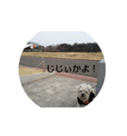 tatata777（個別スタンプ：4）