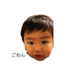 こーきだ（個別スタンプ：3）